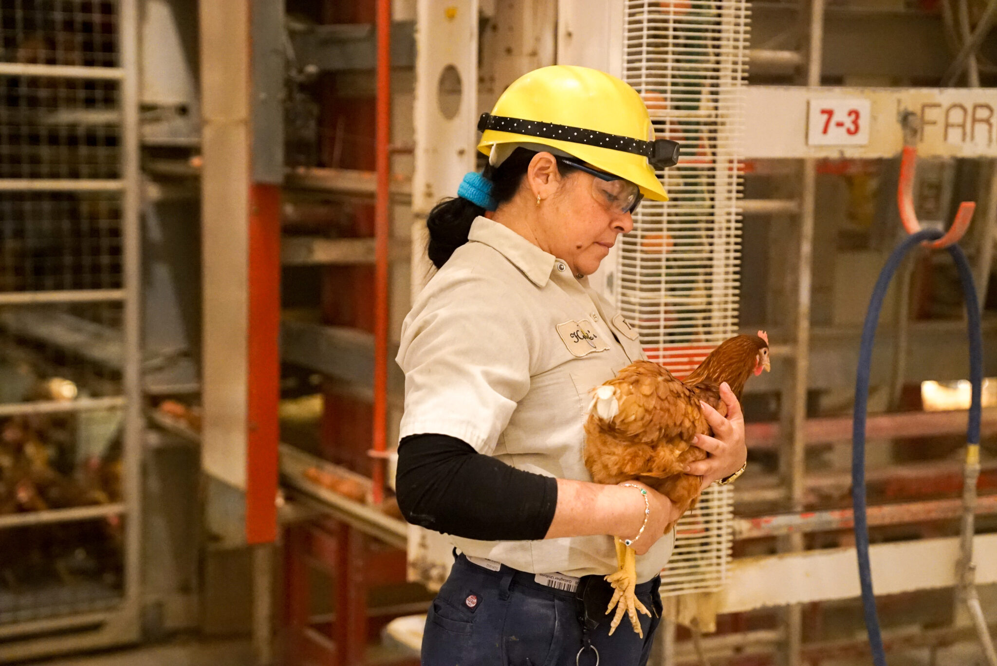 Home Herbruck's Poultry Ranch, Inc.